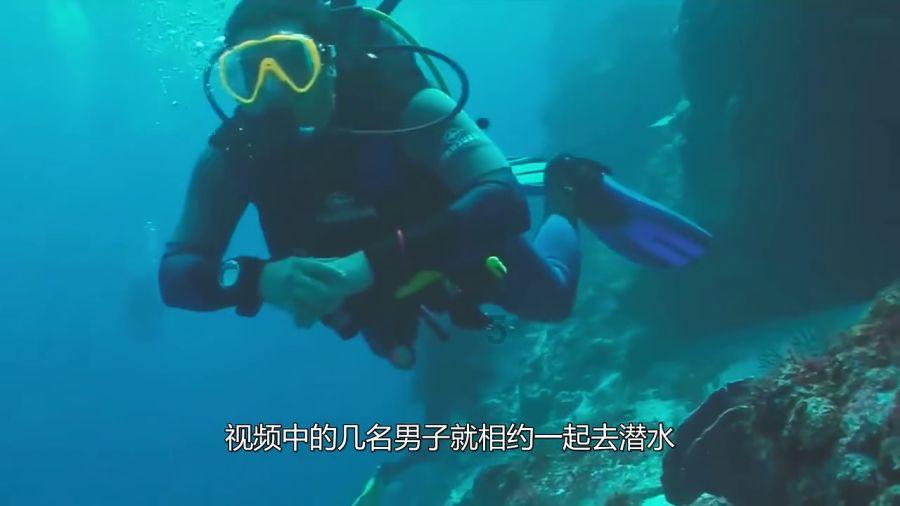 卡通小车找不同